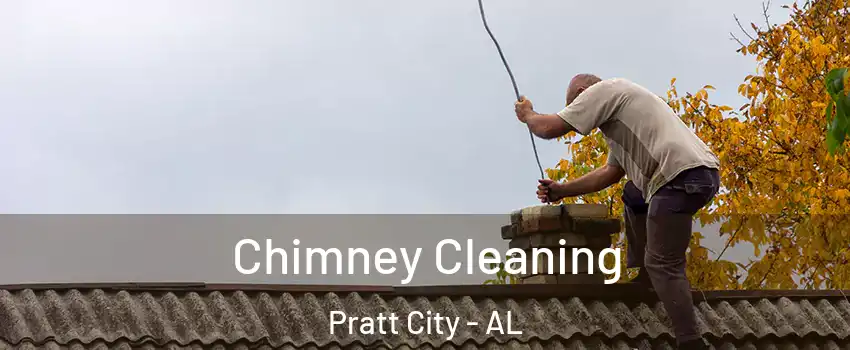 Chimney Cleaning Pratt City - AL