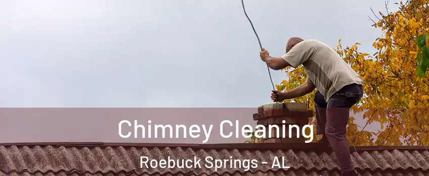 Chimney Cleaning Roebuck Springs - AL
