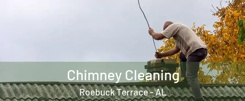 Chimney Cleaning Roebuck Terrace - AL