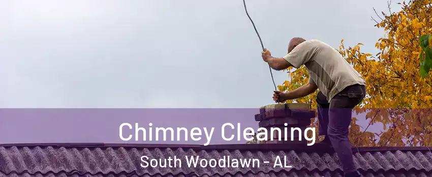 Chimney Cleaning South Woodlawn - AL