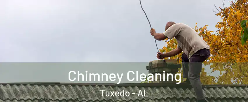 Chimney Cleaning Tuxedo - AL
