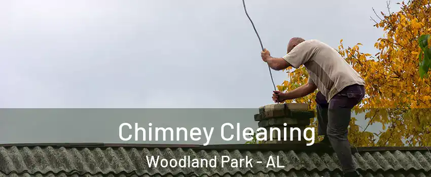 Chimney Cleaning Woodland Park - AL