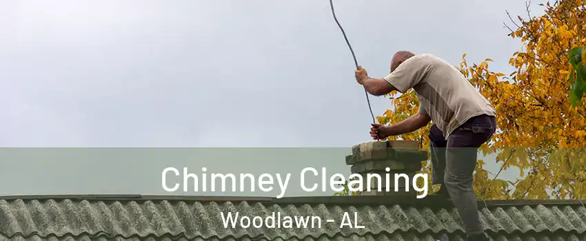 Chimney Cleaning Woodlawn - AL