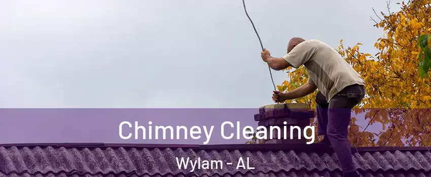 Chimney Cleaning Wylam - AL