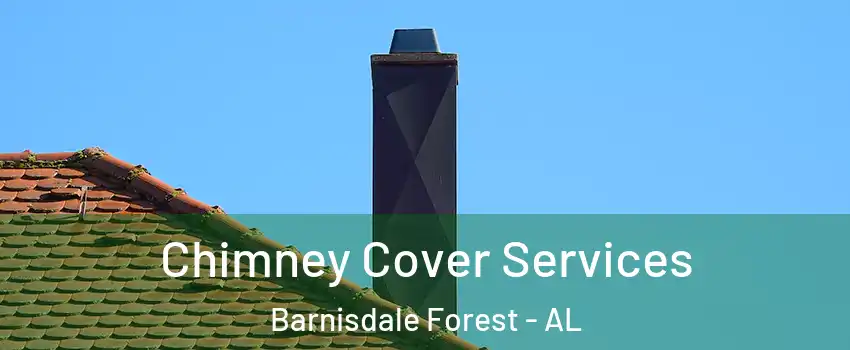 Chimney Cover Services Barnisdale Forest - AL