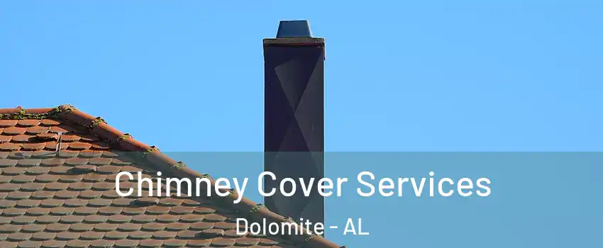 Chimney Cover Services Dolomite - AL