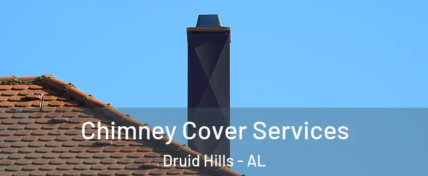 Chimney Cover Services Druid Hills - AL