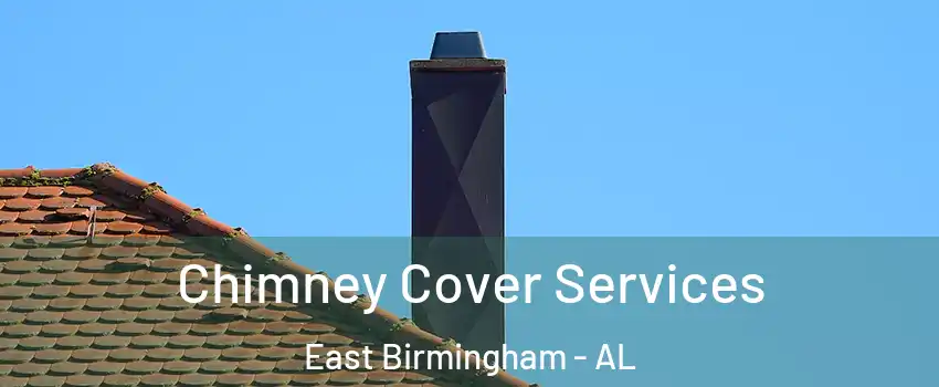 Chimney Cover Services East Birmingham - AL