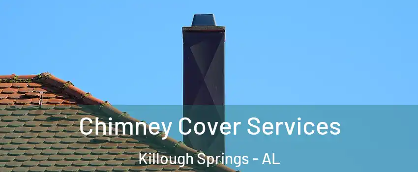 Chimney Cover Services Killough Springs - AL