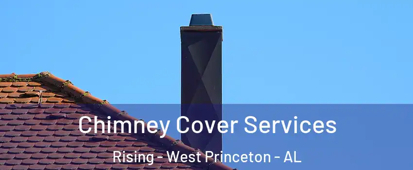 Chimney Cover Services Rising - West Princeton - AL