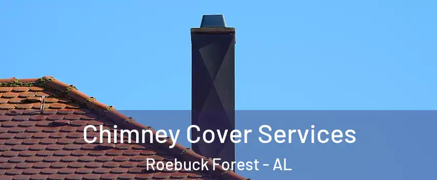 Chimney Cover Services Roebuck Forest - AL