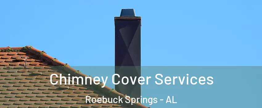 Chimney Cover Services Roebuck Springs - AL