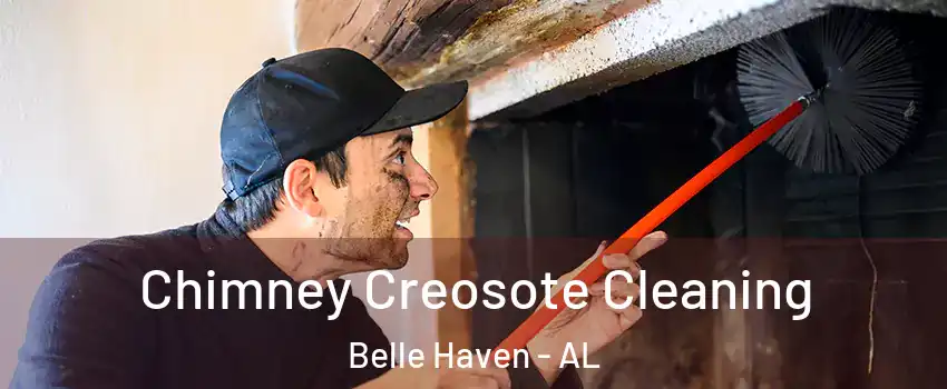 Chimney Creosote Cleaning Belle Haven - AL