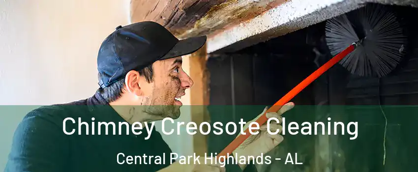 Chimney Creosote Cleaning Central Park Highlands - AL