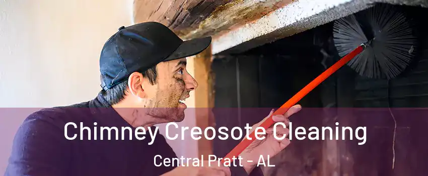Chimney Creosote Cleaning Central Pratt - AL