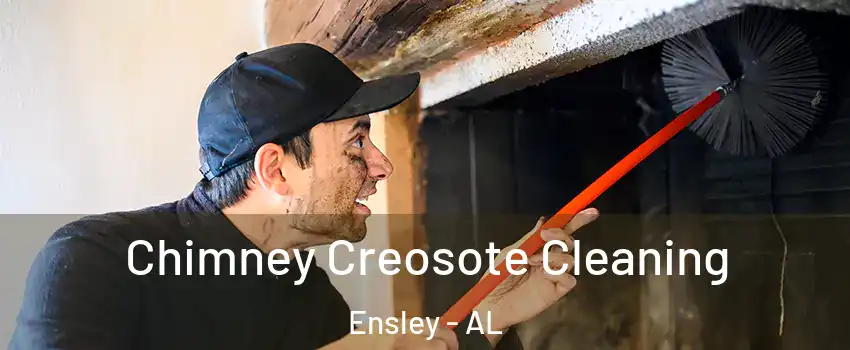 Chimney Creosote Cleaning Ensley - AL