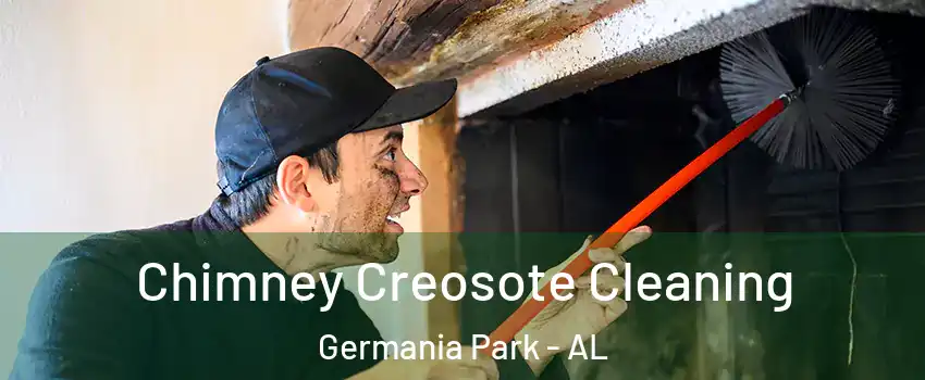 Chimney Creosote Cleaning Germania Park - AL