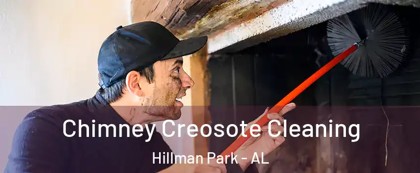 Chimney Creosote Cleaning Hillman Park - AL