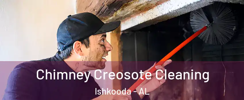 Chimney Creosote Cleaning Ishkooda - AL
