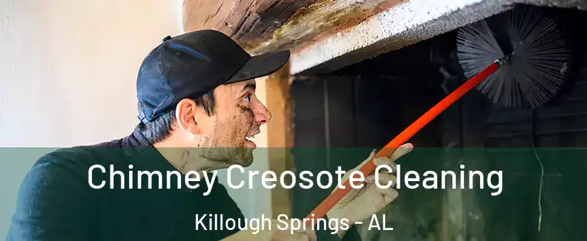 Chimney Creosote Cleaning Killough Springs - AL