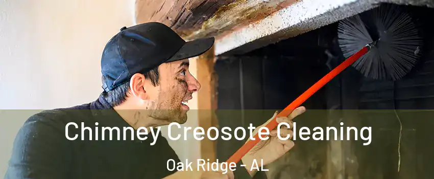 Chimney Creosote Cleaning Oak Ridge - AL