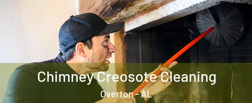 Chimney Creosote Cleaning Overton - AL