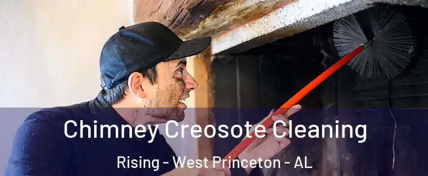 Chimney Creosote Cleaning Rising - West Princeton - AL