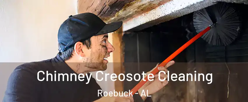 Chimney Creosote Cleaning Roebuck - AL