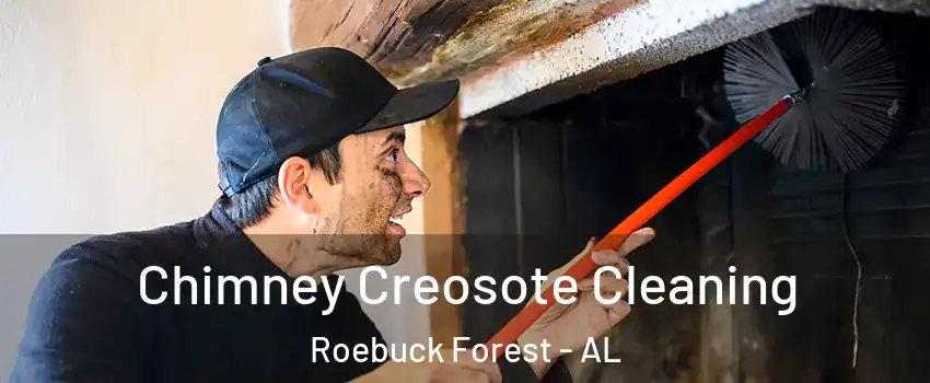 Chimney Creosote Cleaning Roebuck Forest - AL