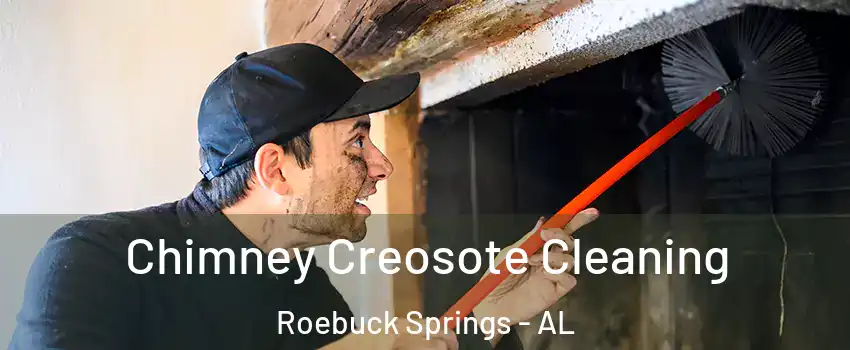 Chimney Creosote Cleaning Roebuck Springs - AL