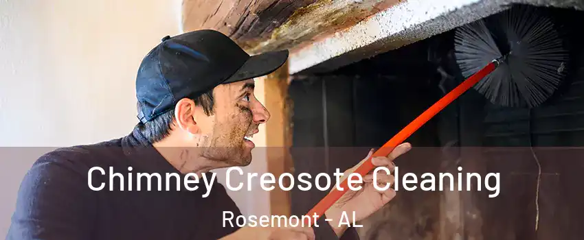 Chimney Creosote Cleaning Rosemont - AL