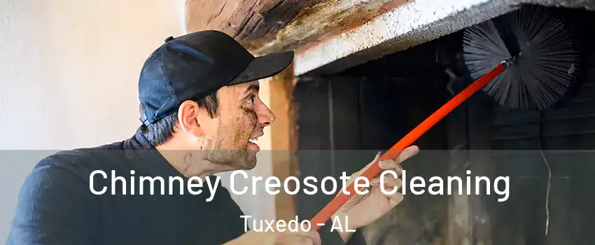 Chimney Creosote Cleaning Tuxedo - AL
