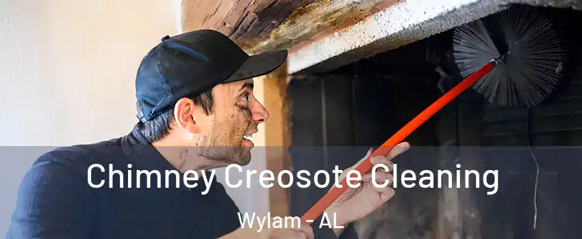 Chimney Creosote Cleaning Wylam - AL