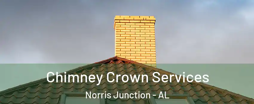 Chimney Crown Services Norris Junction - AL