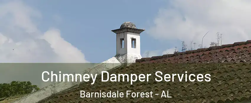 Chimney Damper Services Barnisdale Forest - AL