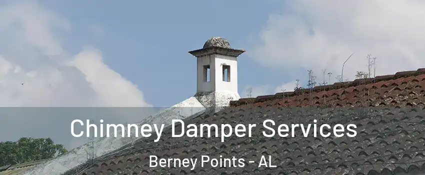 Chimney Damper Services Berney Points - AL