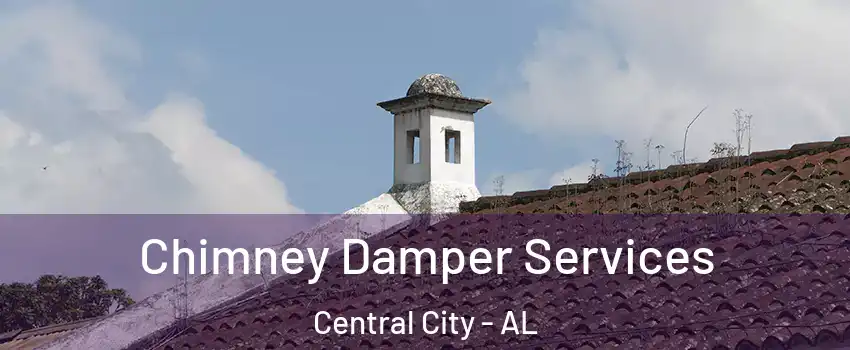 Chimney Damper Services Central City - AL