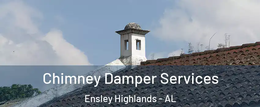 Chimney Damper Services Ensley Highlands - AL