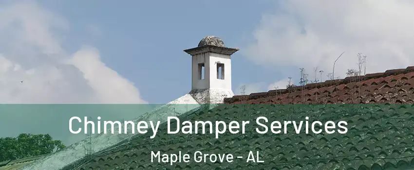Chimney Damper Services Maple Grove - AL