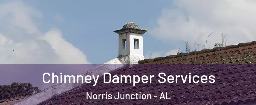 Chimney Damper Services Norris Junction - AL