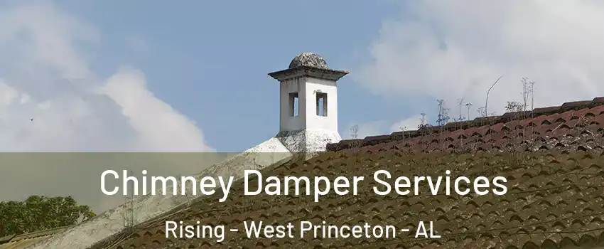 Chimney Damper Services Rising - West Princeton - AL