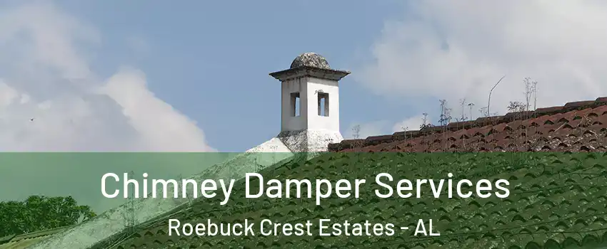 Chimney Damper Services Roebuck Crest Estates - AL