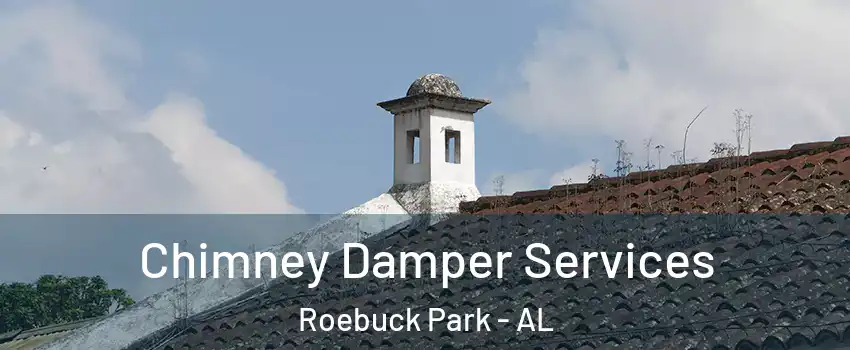 Chimney Damper Services Roebuck Park - AL