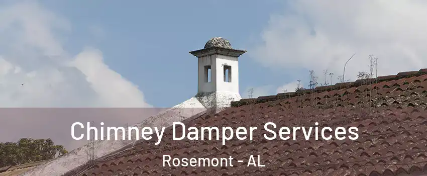 Chimney Damper Services Rosemont - AL