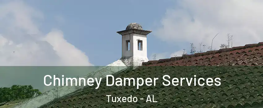 Chimney Damper Services Tuxedo - AL