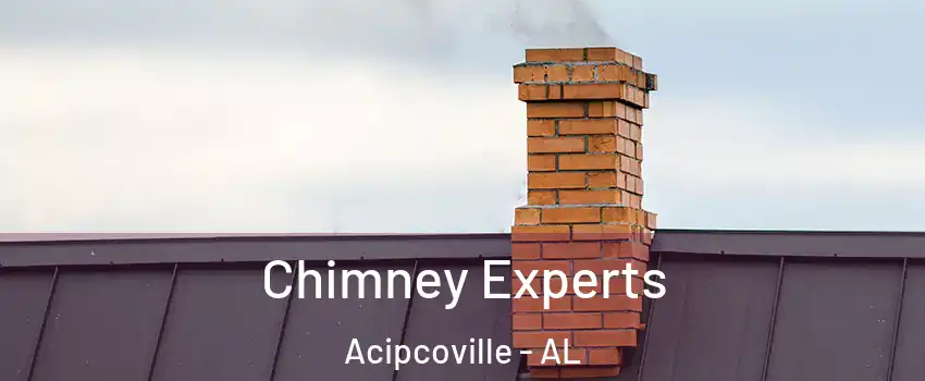 Chimney Experts Acipcoville - AL