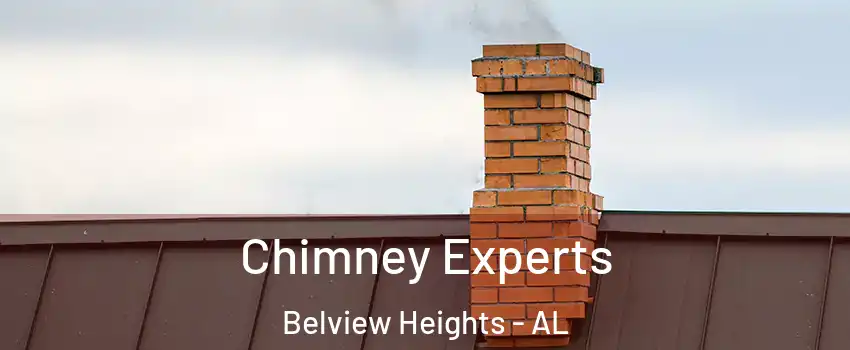 Chimney Experts Belview Heights - AL