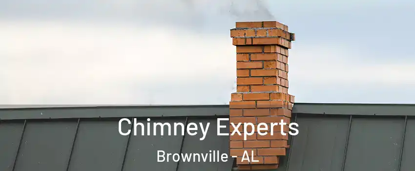 Chimney Experts Brownville - AL