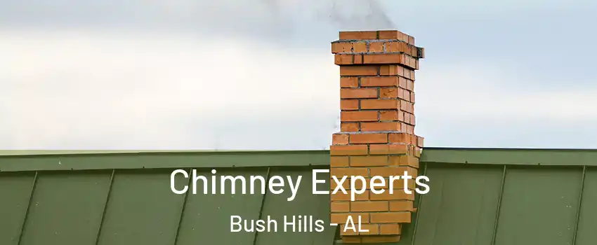 Chimney Experts Bush Hills - AL