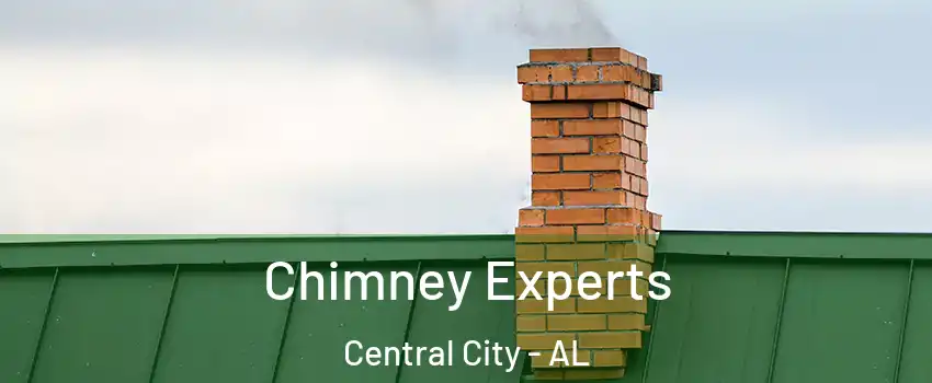 Chimney Experts Central City - AL